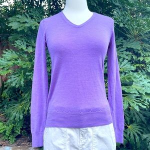 🍀3/$20🍀 uniqlo purple v-neck sweater